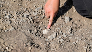 Un mystérieux pied fossilisé découvert en Ethiopie met sous les projecteurs un contemporain de Lucy