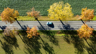 Autoversicherungen im September fast elf Prozent teurer als vor einem Jahr