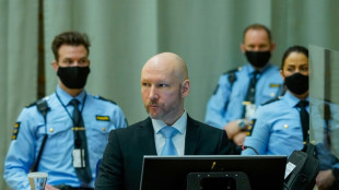 Lib&eacute;rer Breivik ? Deux visions s'opposent devant la justice
