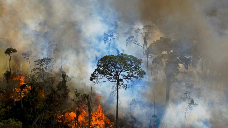 Umweltverb&auml;nde pochen auf Natur- und Klimaschutz in Mercosur-Abkommen
