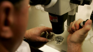 Alabama lawmakers vote to protect IVF in wake of court ruling