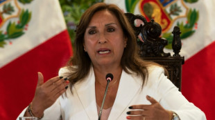 P&eacute;rou: la pr&eacute;sidente appelle &agrave; "une tr&ecirc;ve nationale" avant un grand rassemblement contre elle