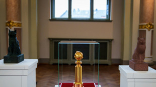 'Flow', o filme da Let&ocirc;nia que deseja surpreender no Oscar