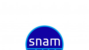 I ricavi semestrali di Snam superano i due miliardi di euro