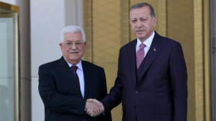 Palestinian leader Abbas to visit Turkey next week 