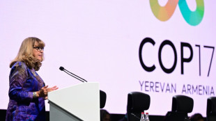 COP17 acuerda textos clave para proteger la naturaleza