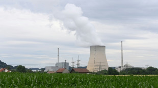 Habeck h&auml;lt Atomausstieg f&uuml;r unumkehrbar