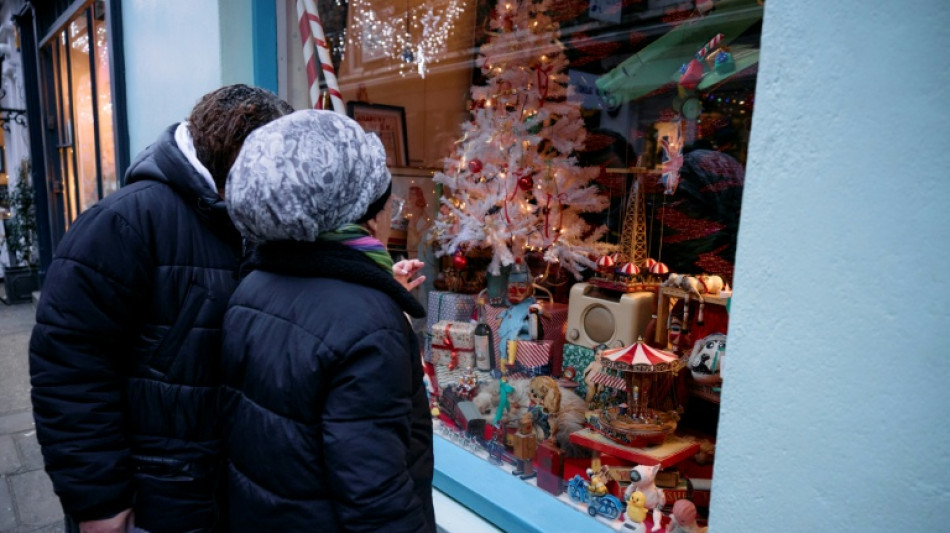 A Londres, une vitrine f&eacute;erique o&ugrave; aucun jouet n'est &agrave; vendre 