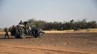 Mueren 12 soldados en un ataque yihadista en N&iacute;ger