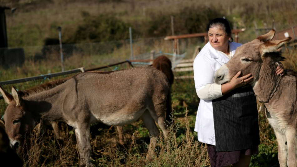 Norv&egrave;ge: l'&eacute;norme fonds souverain demande aux entreprises de respecter le bien-&ecirc;tre animal