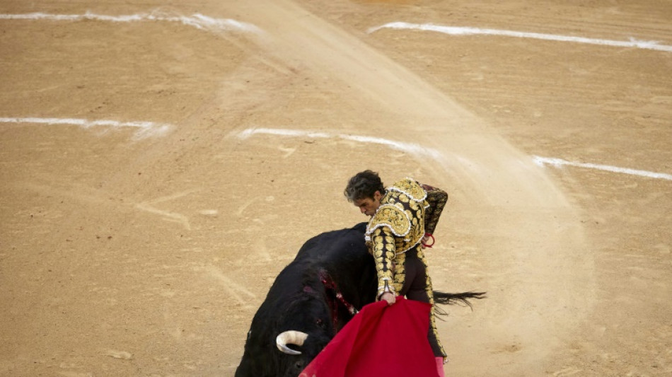 Torero espa&ntilde;ol Jos&eacute; Tom&aacute;s corta dos orejas en su esperado regreso al ruedo