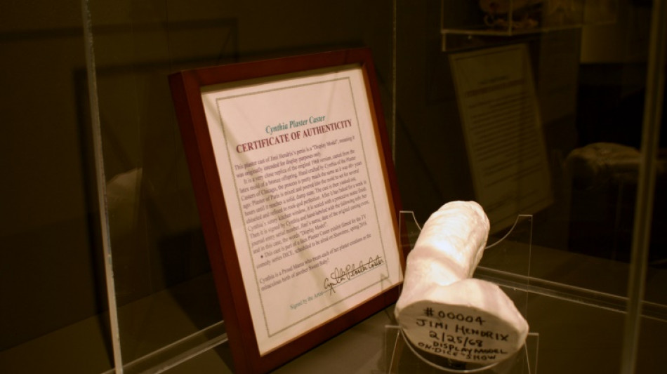 Un molde del pene de Jimi Hendrix pasa a la colecci&oacute;n de un museo en Islandia