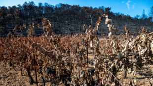 Le co&ucirc;t des incendies en France cet &eacute;t&eacute; &eacute;valu&eacute; &agrave; 563 millions d'euros, selon France Assureurs