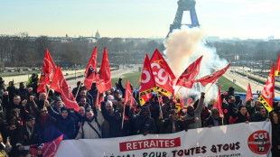 Invectives et m&eacute;thodes muscl&eacute;es, les retraites &agrave; plein r&eacute;gime &agrave; l'Assembl&eacute;e