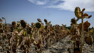 L'&eacute;pisode de chaleur tardif se poursuit en France