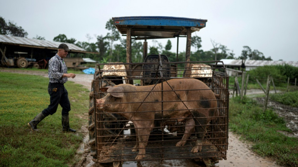 Fl&egrave;ches contre tracteurs: la bataille silencieuse dans l'Amazonie p&eacute;ruvienne