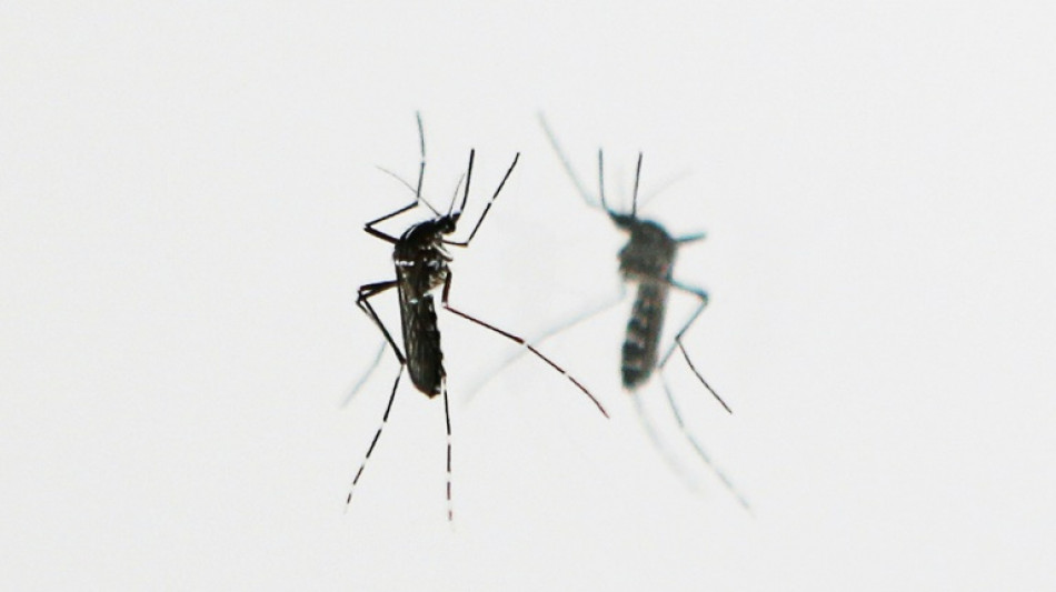 Chikungunya: Stiko empfiehlt erstmals Reiseimpfung f&uuml;r bestimmte Gruppen