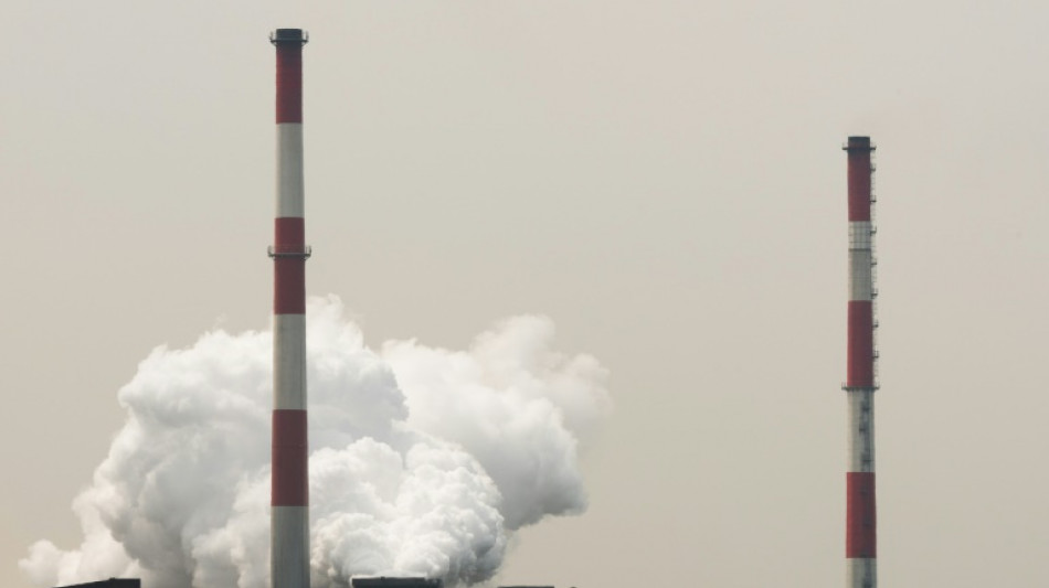 Capter le carbone, mode d'emploi: "On se branche sur le pot d'&eacute;chappement de l'usine"