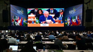 Entre crise climatique et menace nucl&eacute;aire, un sombre sommet du G20