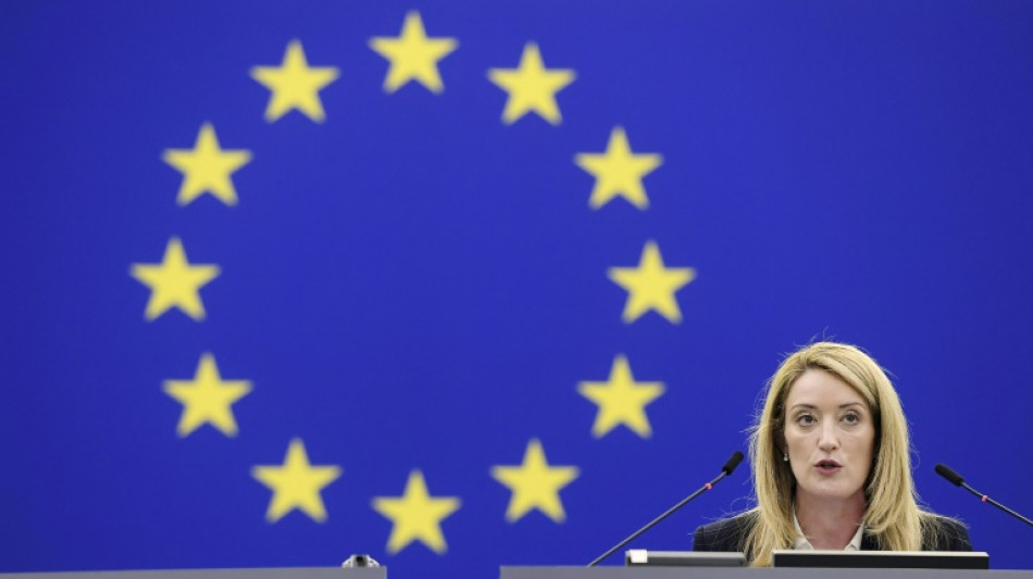 Parlamento Europeo abre investigaci&oacute;n sobre saludo nazi en el plenario