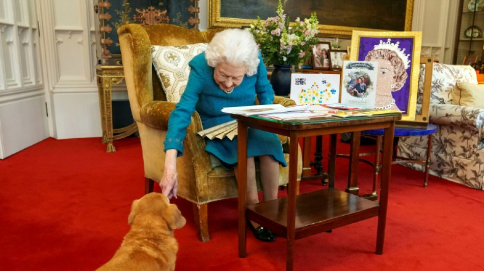 Orphelins, les fameux corgis d'Elizabeth II adopt&eacute;s par son fils Andrew
