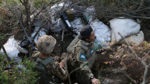 Quince muertos en una emboscada del EI contra las fuerzas prorr&eacute;gimen en Siria, seg&uacute;n una ONG