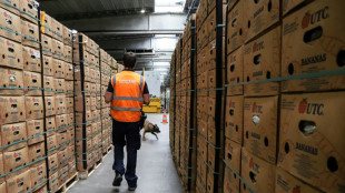 B&eacute;lgica decomis&oacute; en 2022 109 toneladas de coca&iacute;na en Amberes, un r&eacute;cord