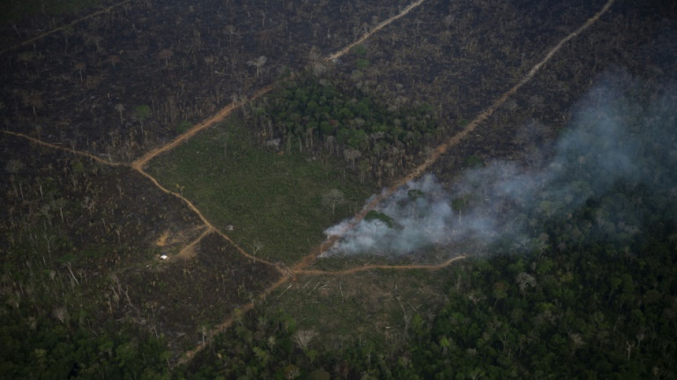 Br&eacute;sil: les d&eacute;put&eacute;s approuvent une loi controvers&eacute;e sur les pesticides