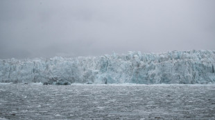 Antartide, la rottura di un iceberg rivela un ecosistema inedito
