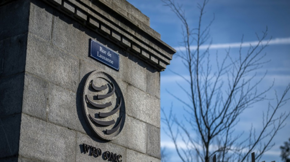 Dutzende L&auml;nder in der WTO vereinbaren globale Regeln f&uuml;r den Online-Handel 