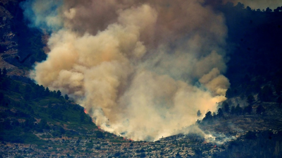 Thousands told to stay home as Spain forest fire rages