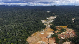Yanomami morre baleado por garimpeiros em comunidade ind&iacute;gena