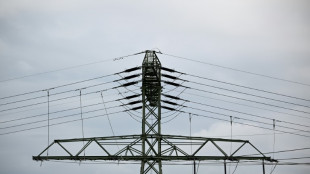 Trotz R&uuml;ckgangs der Stromerzeugung: Produktion aus Erneuerbaren gestiegen