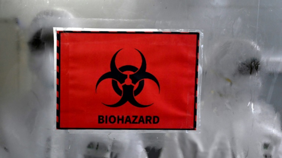 Premier d&eacute;c&egrave;s au Br&eacute;sil d'un patient contamin&eacute; par la variole du singe