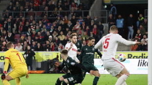 D&auml;mpfer f&uuml;r den FC im Abstiegskampf gegen Werder