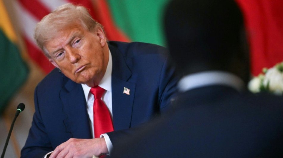 Trump se re&uacute;ne com presidentes africanos com foco em minerais