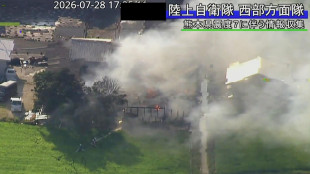 Media, 'sisma Giappone, ponte parzialmente crollato a Kumamoto'