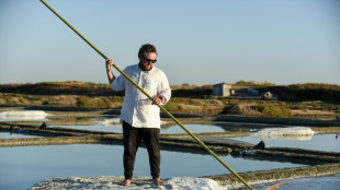 Sel, soleil et s&eacute;cheresse, la combinaison gagnante des paludiers