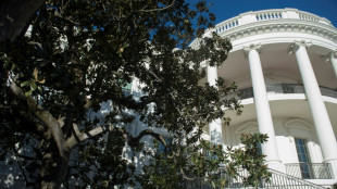 Sicherheitsrisiko: Trump will historischen Magnolienbaum vor Weißem Haus fällen lassen