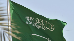 Arabie saoudite: plus de 100 &eacute;trangers ex&eacute;cut&eacute;s depuis le d&eacute;but de l'ann&eacute;e  
