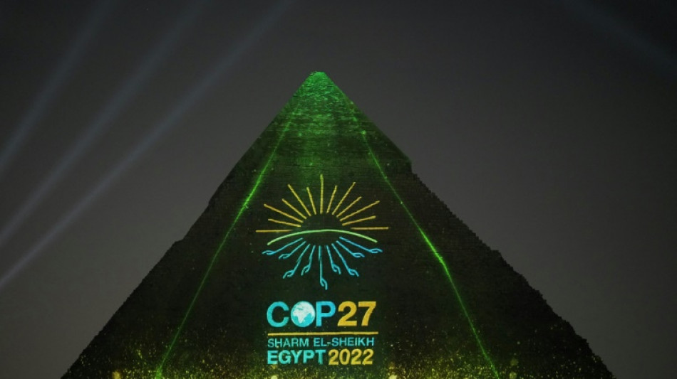 Coup d'envoi de la COP27 pour r&eacute;veiller le combat pour le climat