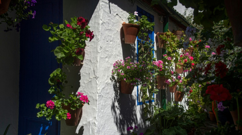 Patios plut&ocirc;t que clim: la ville de demain serait-elle m&eacute;diterran&eacute;enne?