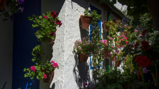 Patios plut&ocirc;t que clim: la ville de demain serait-elle m&eacute;diterran&eacute;enne?