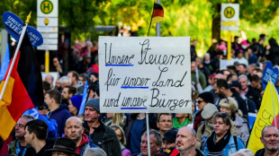 Angriffe auf Journalisten und Hitlergr&uuml;&szlig;e - Polizei zieht Bilanz nach AfD-Demo