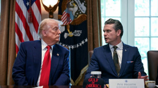 Top US court allows Trump's ban on trans troops to take effect
