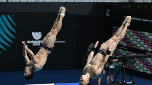 Plongeon : les Chinois Wang et Cao champions du monde du 3 m synchronis&eacute;