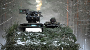 Kommandeur sieht Aufbau von Bundeswehr-Brigade in Litauen im Plan