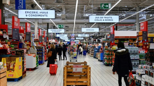 L'activit&eacute; en France r&eacute;siste au premier trimestre mais les difficult&eacute;s s'amoncellent