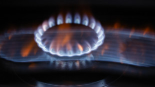 Il prezzo del gas chiude in rialzo a 41,06 euro