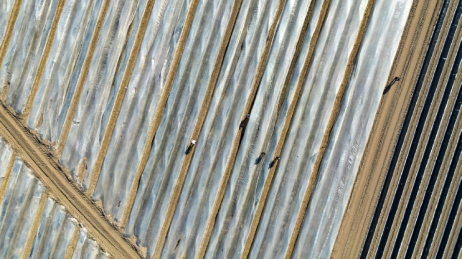 Bauernverband fordert Ausnahme vom Mindestlohn f&uuml;r Saisonkr&auml;fte 